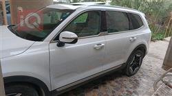 کیا تێلوراید